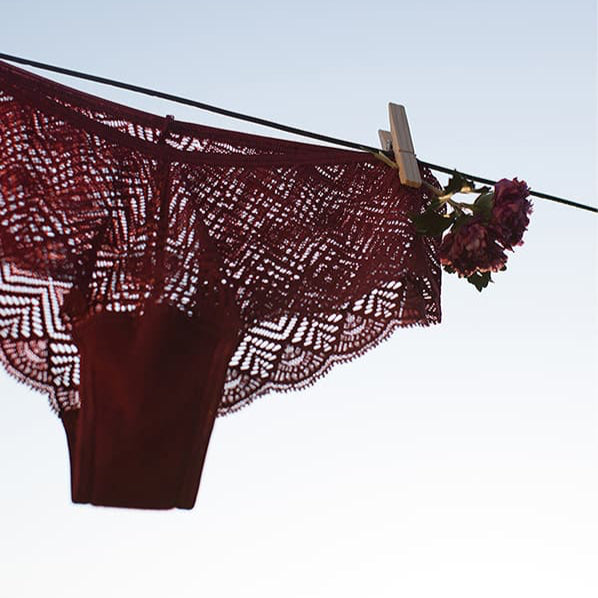 Burgundy lace underwear hanging on a washing line, clipped with a wooden peg alongside a small bunch of flowers, set against a clear blue sky.