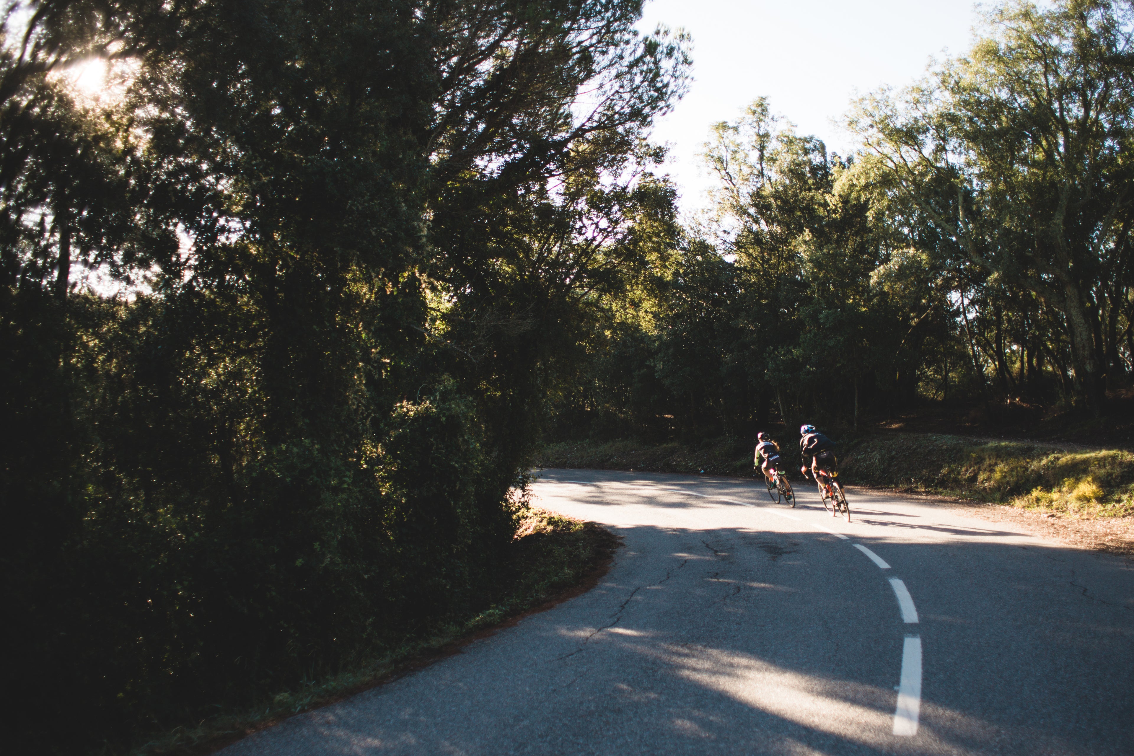 Cyclists curving through sunlit forest road, symbolising momentum, freedom, and natural movement